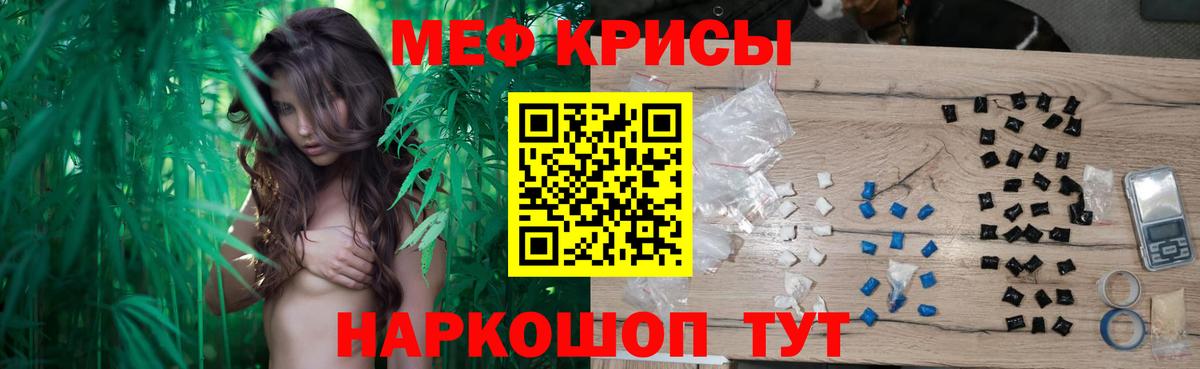 МЕФ  Выборг
